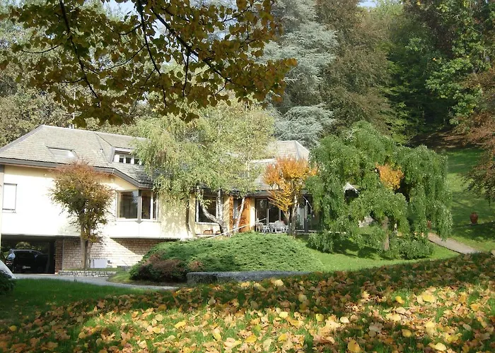 Il Colombe 4*